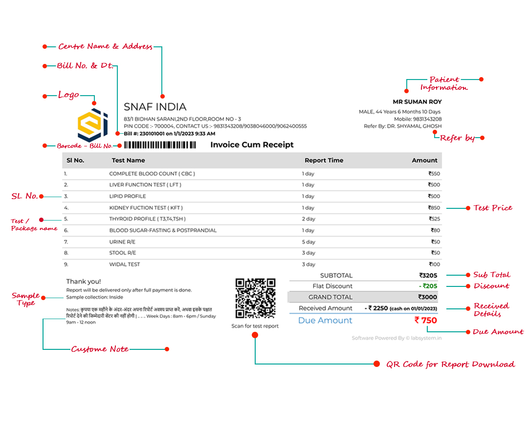 Sample patient bill created with LabSystem