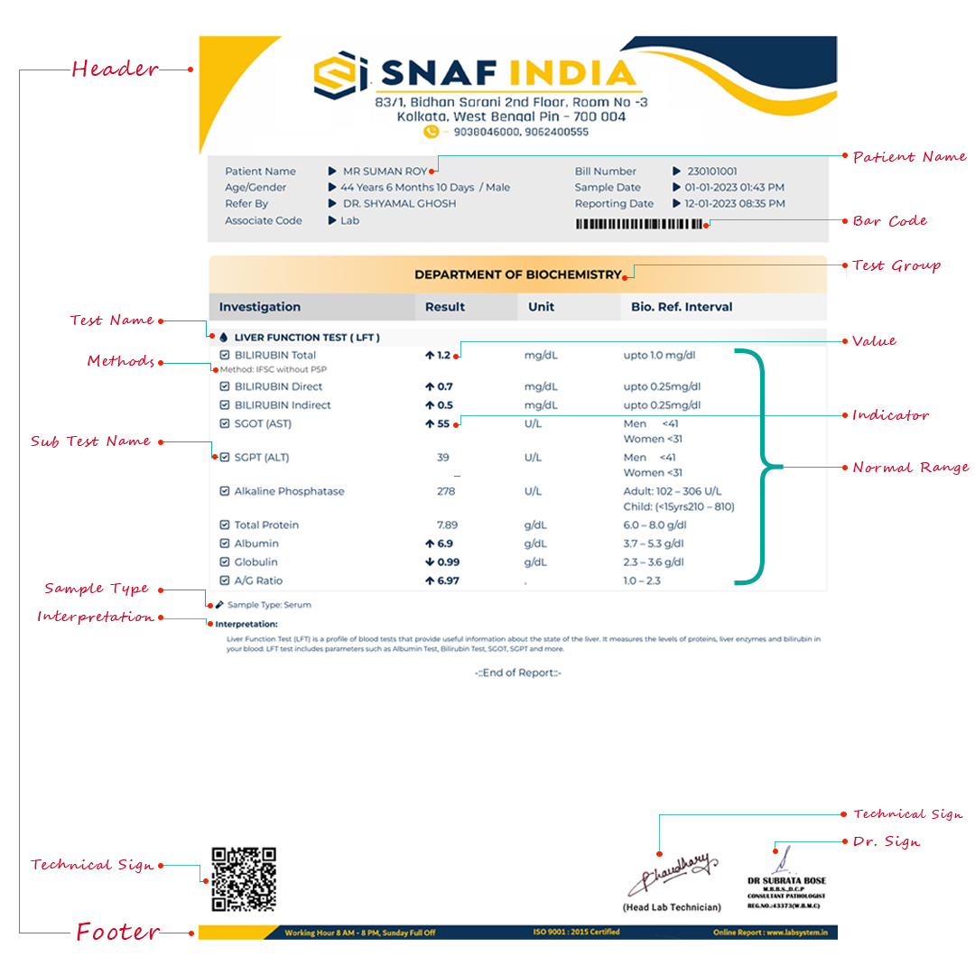 Sample pathology report created with LabSystem